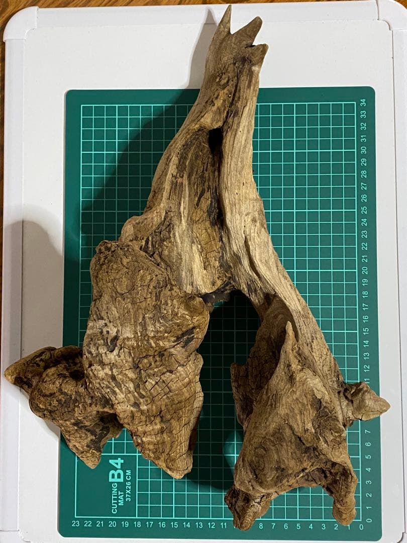 コエポンさま専用おまとめ