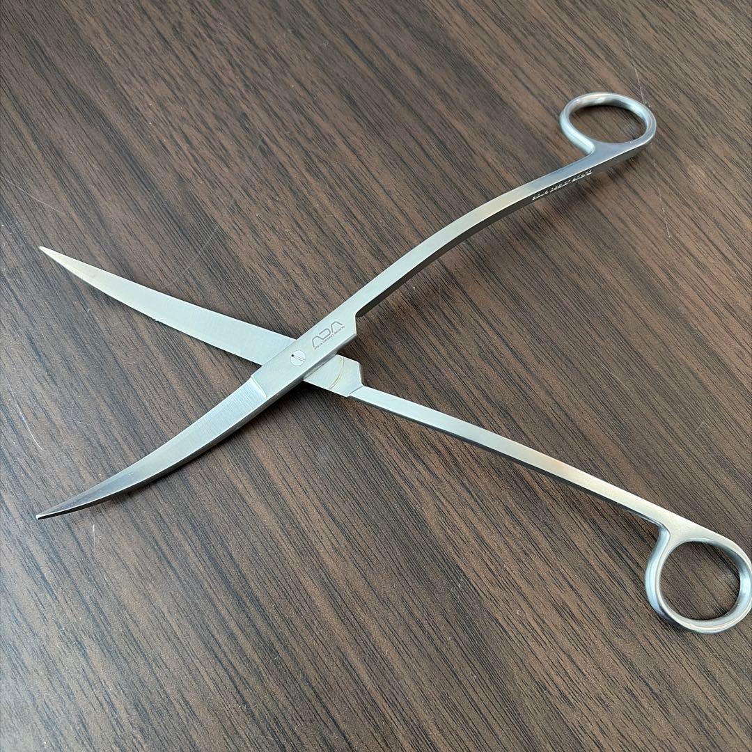 プロシザース・ウェーブ　ADA