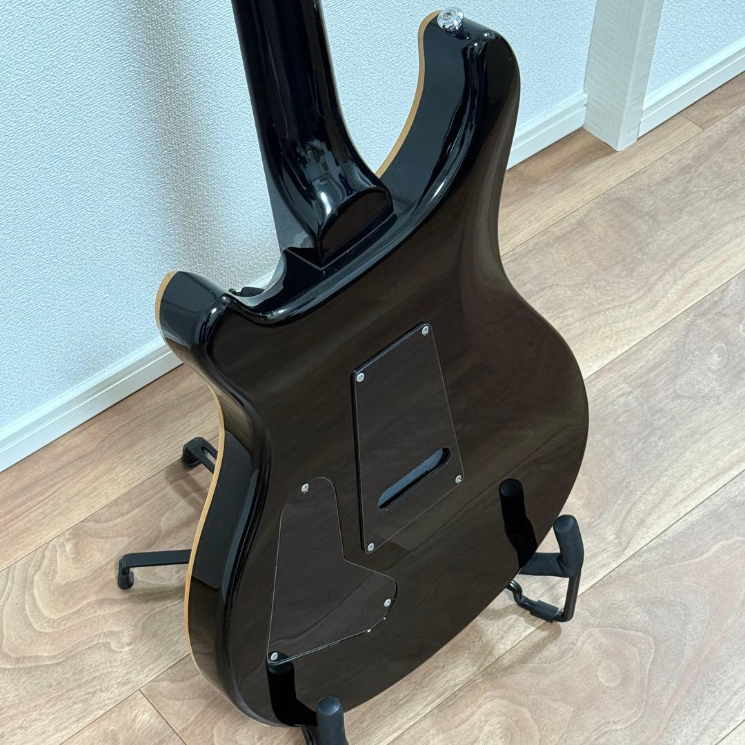 PRS(Paul Reed Smith) SE Custom24 (付属品多数)