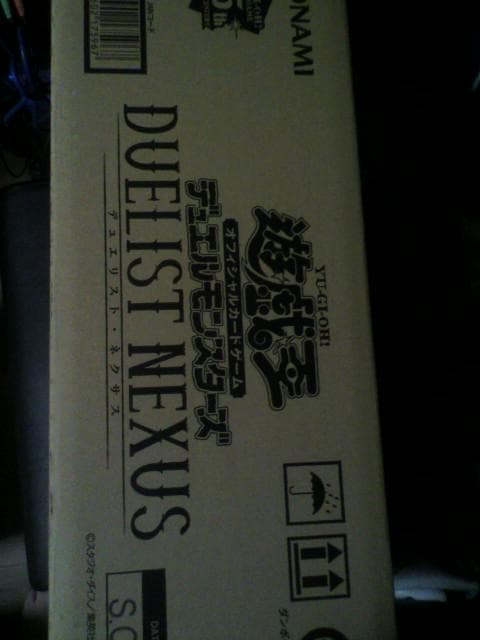 遊戯王 DUELIST NEXUS カートン デュエリストネクサス プラスワン付