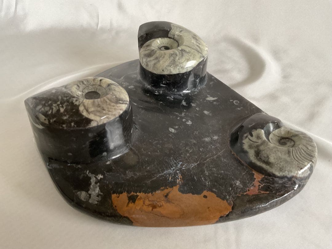 大理石アンモナイト化石の装飾/手彫り