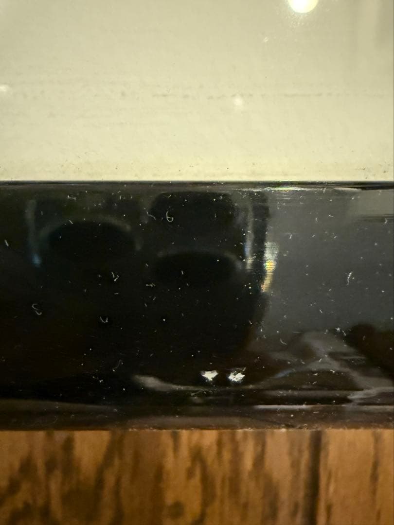 ディズニー セル画「Symphony Hour（シンフォニー・アワー）」限定