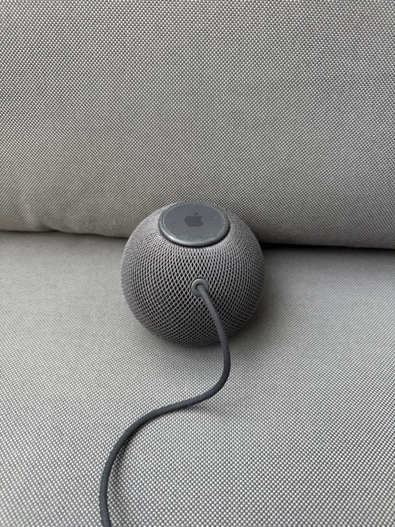 Apple Pod mini (黒)