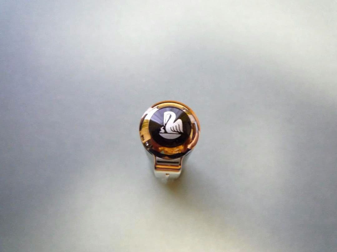 【美品】ペリカン 自然の美観シリーズ M640 ポーラーライト 万年筆（字幅F）