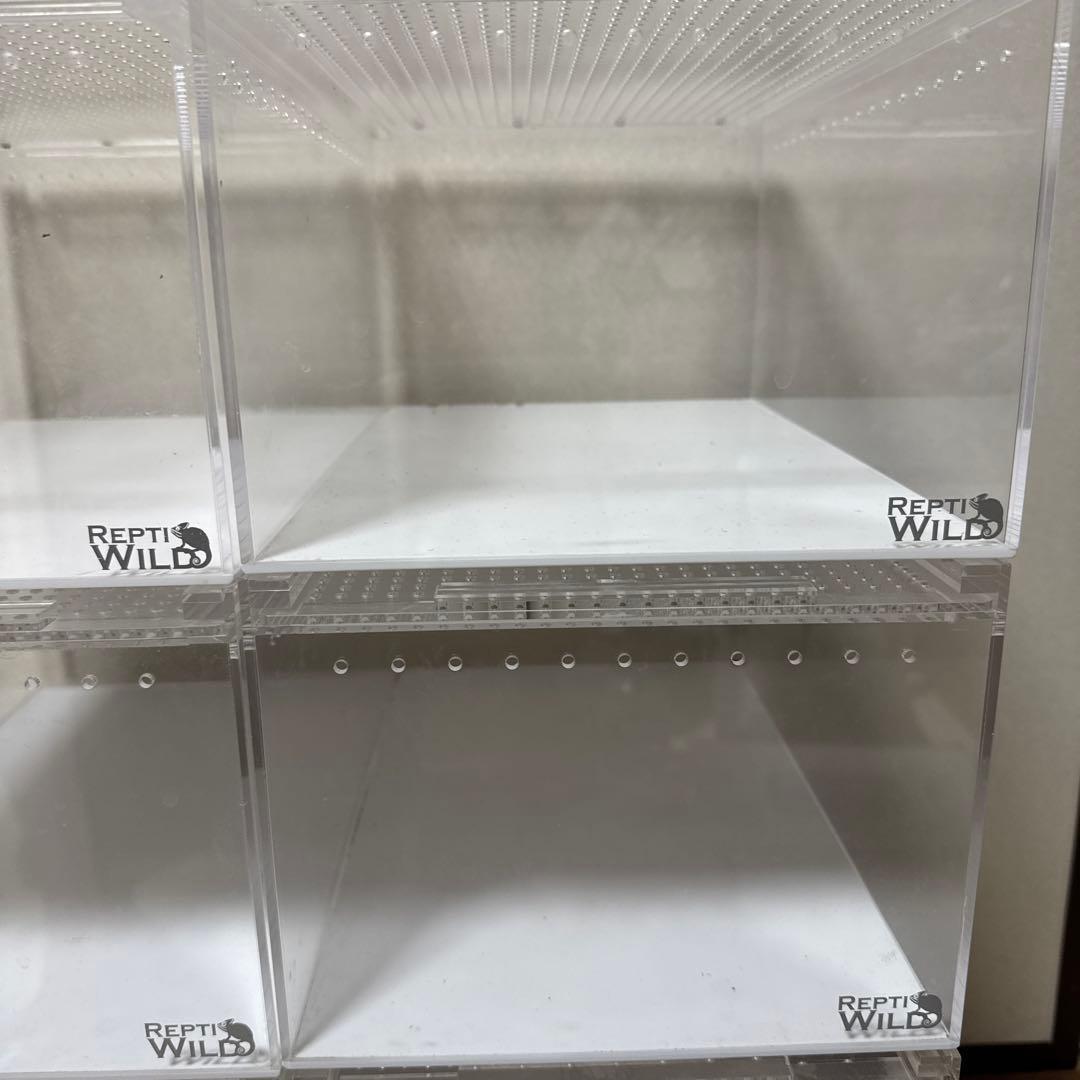 レプタイルボックス(三晃商会SANKO)8個セット