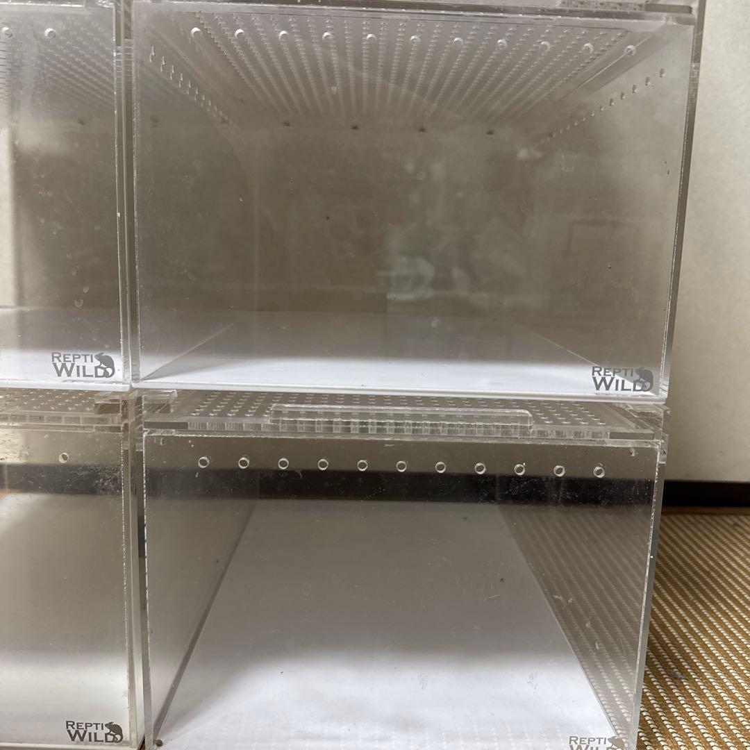 レプタイルボックス(三晃商会SANKO)8個セット