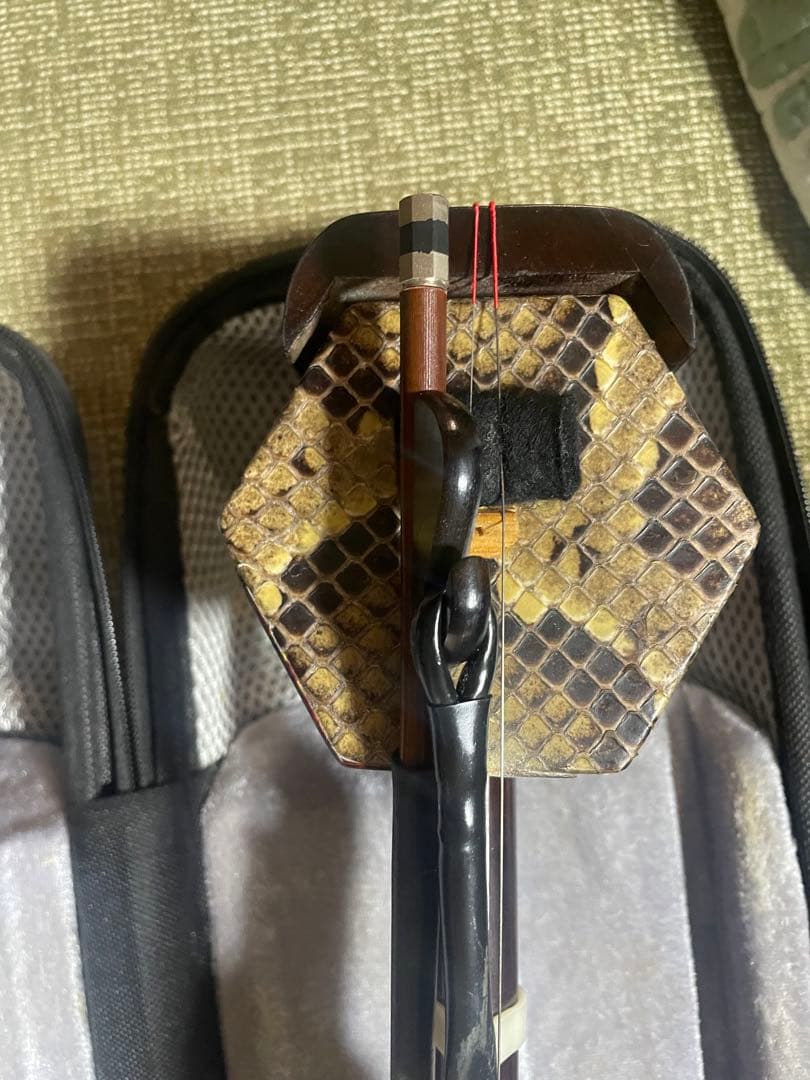 二胡 ケース付き （チャック破損）