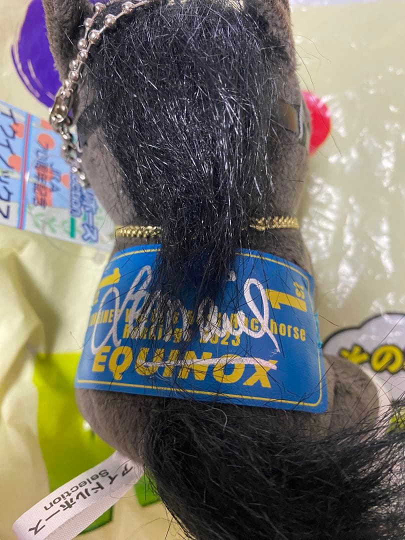 Welcomeチャンス 競馬　特賞　直筆サイン　イクイノックス アイドルホース