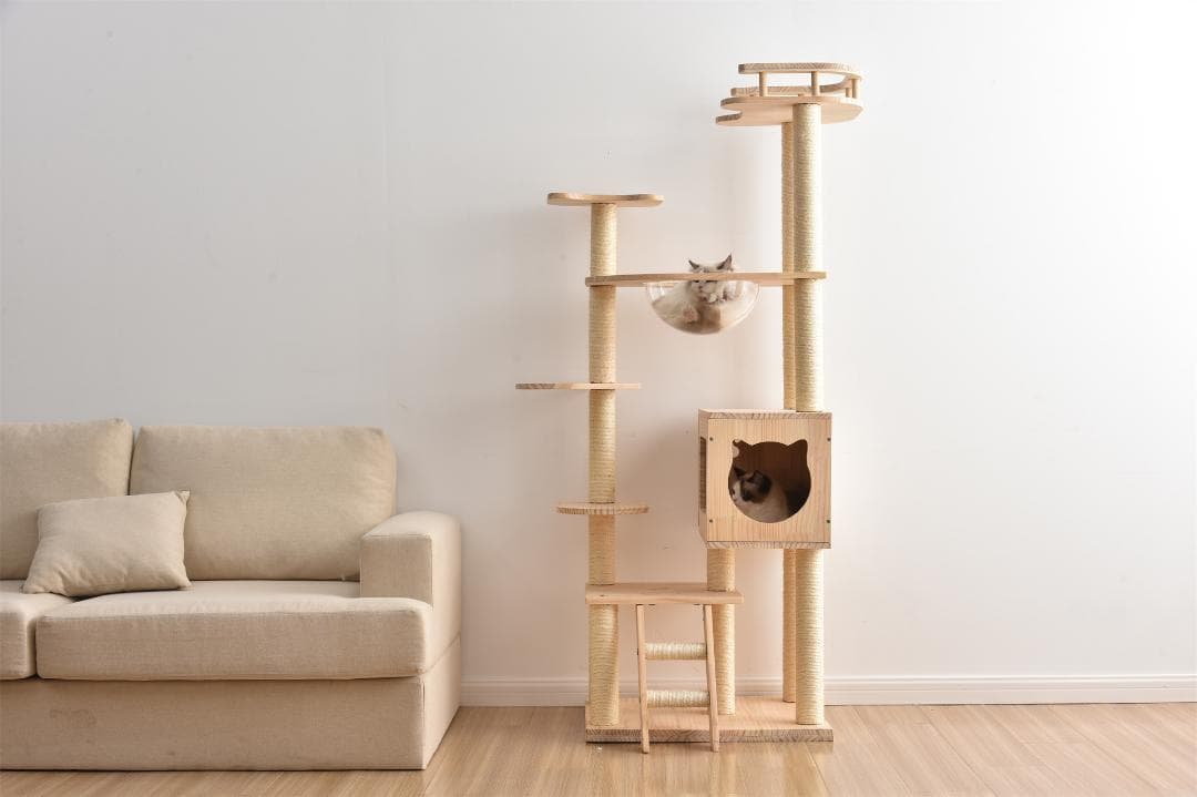 キャットタワー 透明宇宙船 頑丈 据え置き おしゃれ キャットタワー 木製