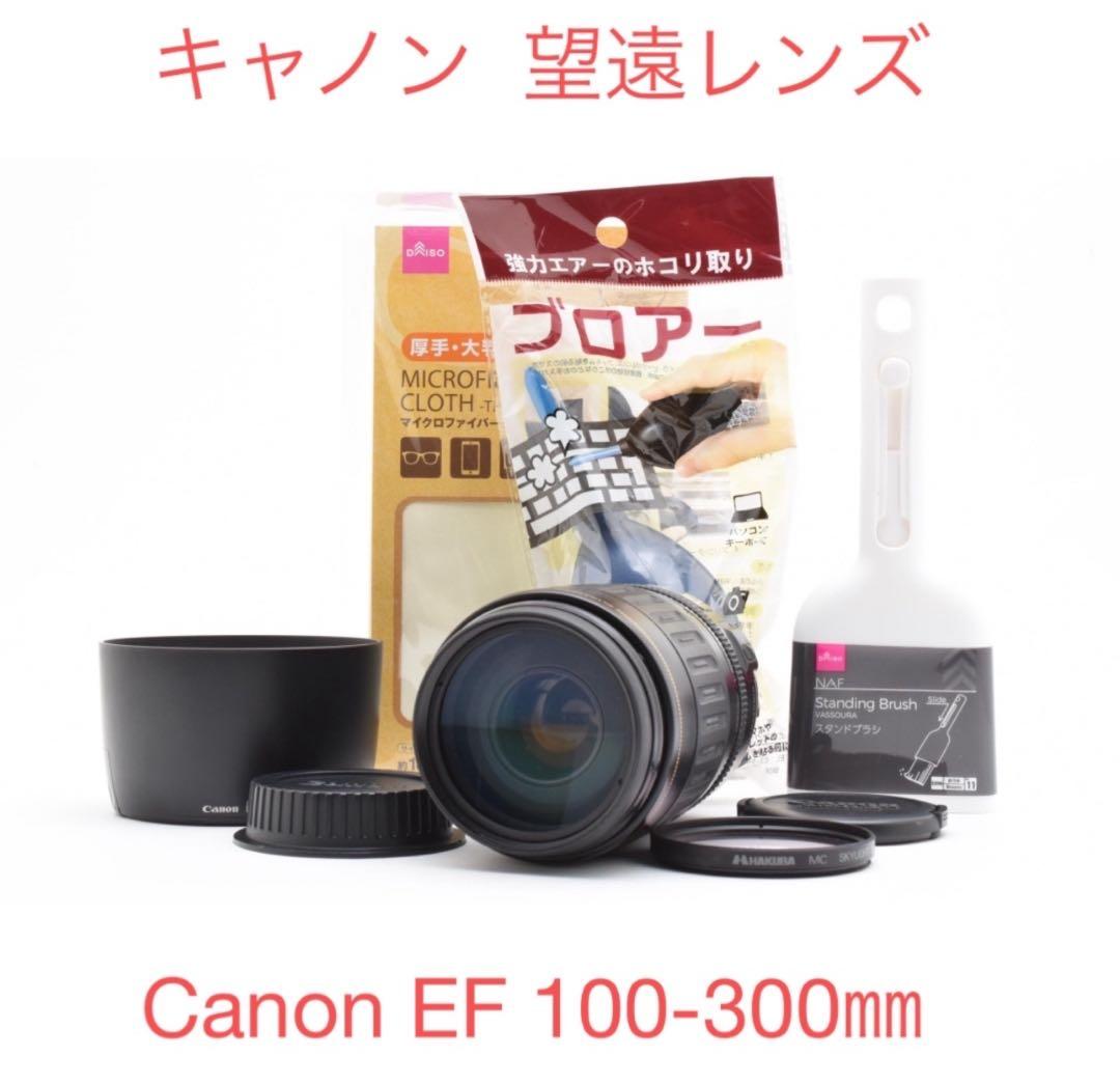 デジタル一眼レフカメラCanon EF 100-300mm F 4.5-5.6