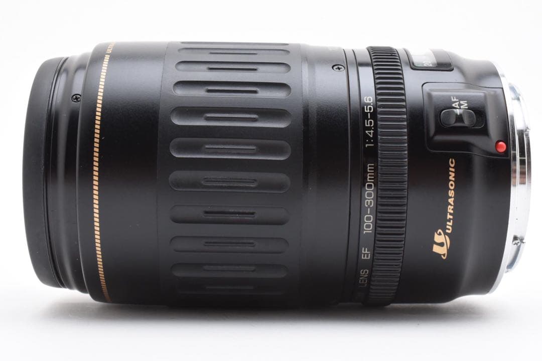 デジタル一眼レフカメラCanon EF 100-300mm F 4.5-5.6