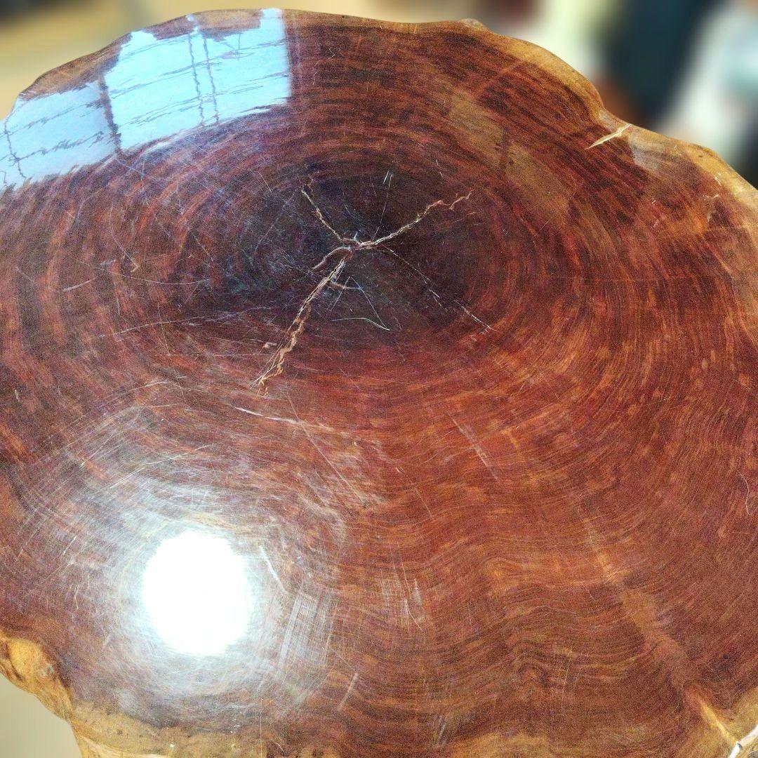 超希少品 ブビンガ輪切り 1枚板テーブル 座卓