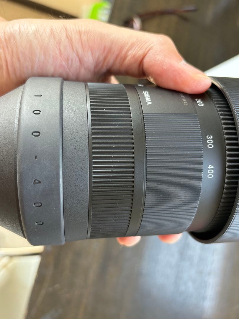 SIGMA 100-400mm F5-6.3 DG DN OS eマウント