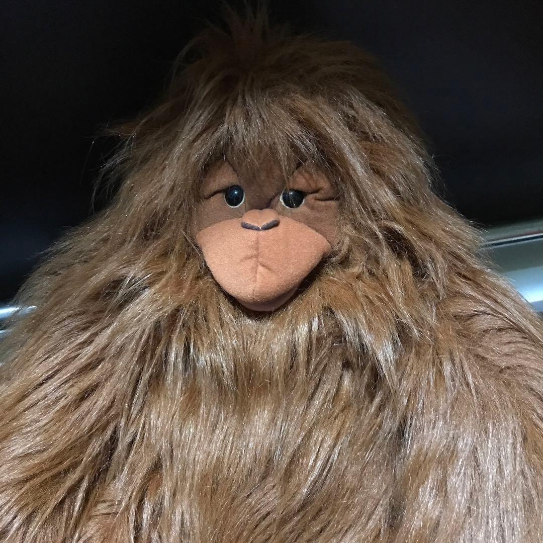 専用です❗️オランウータン　ハンドパペット　フォークマニス 美品❣️お値下げ❗️