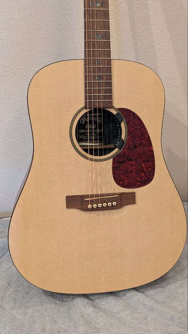 Martin & Co. DXM アコースティックギター マーチン　USA