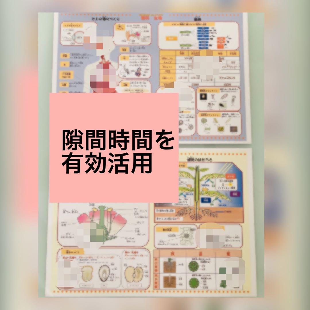 ★専用★⑤⑥⑧⑨⑫⑬⑭⑮お風呂ポスター