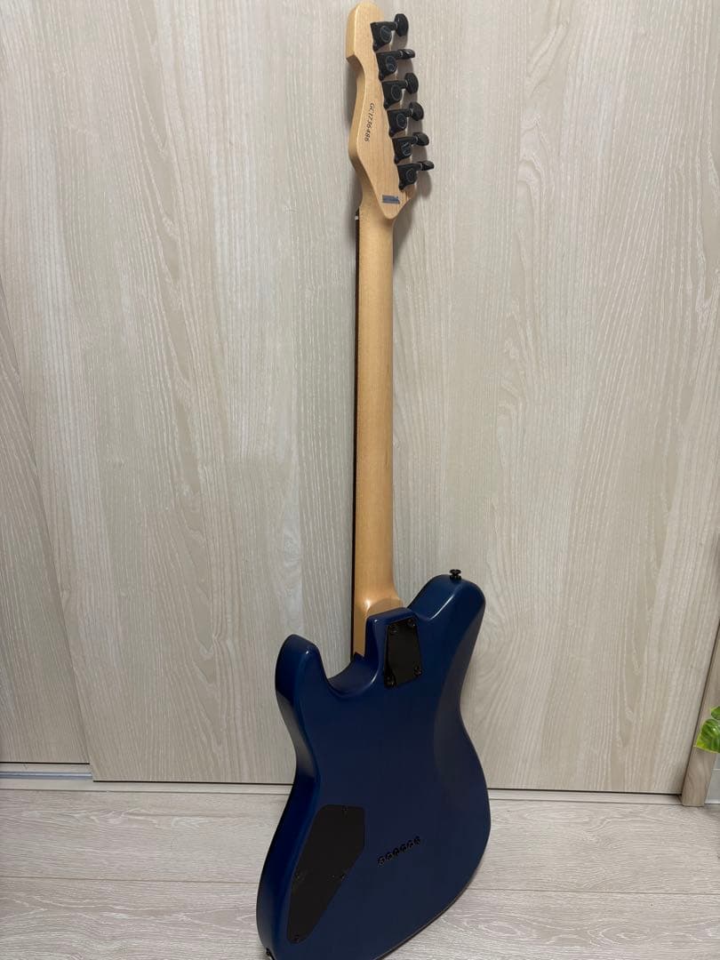 GrassRoots G-TB-55R エレキギター