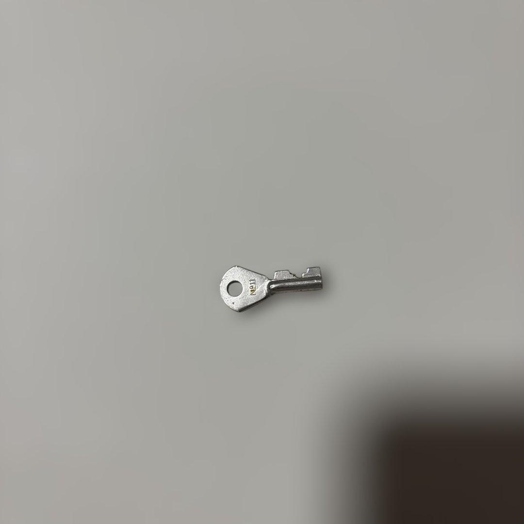 GLOBE-TROTTER グローブトロッター　アルミ製21インチ