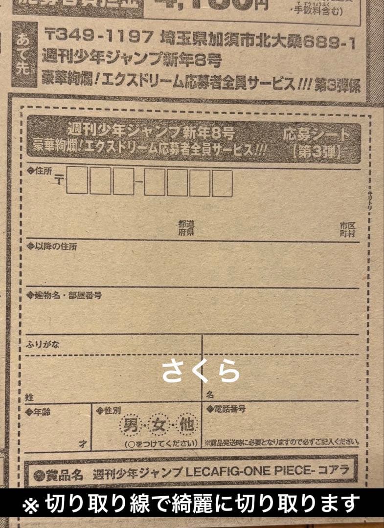 匿名発送 週刊少年ジャンプ 応募者全員サービス 第3弾 応募券 20点