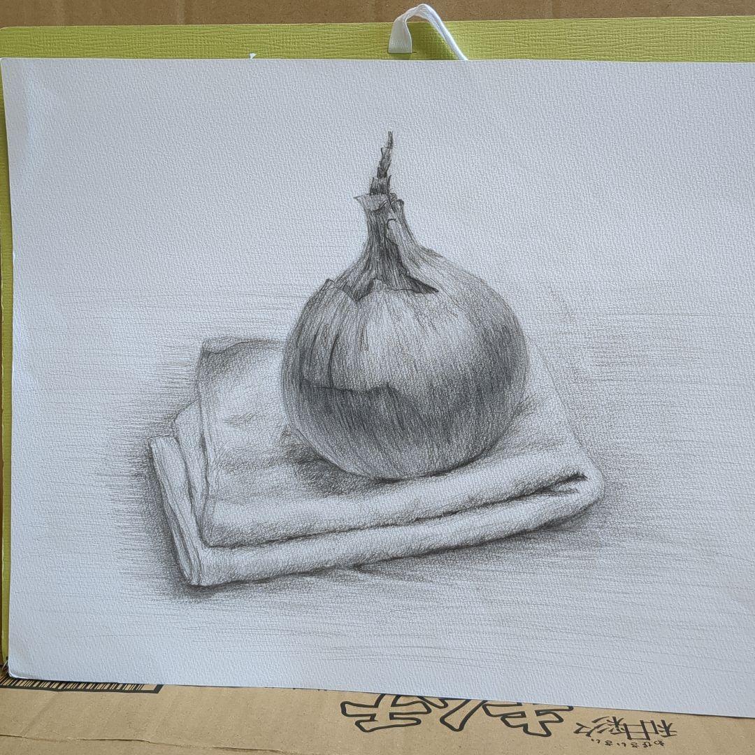 玉ねぎの鉛筆画