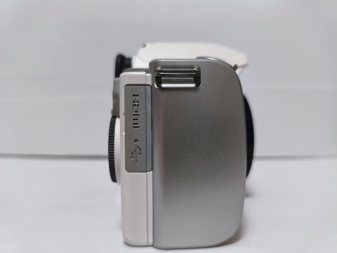 【黒死病修理済】PENTAX K-S1 ダブルズーム