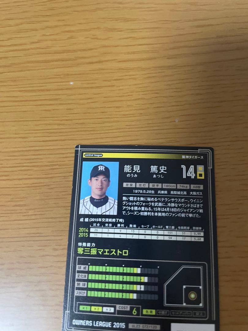 プロ野球オーナーズリーグ能見