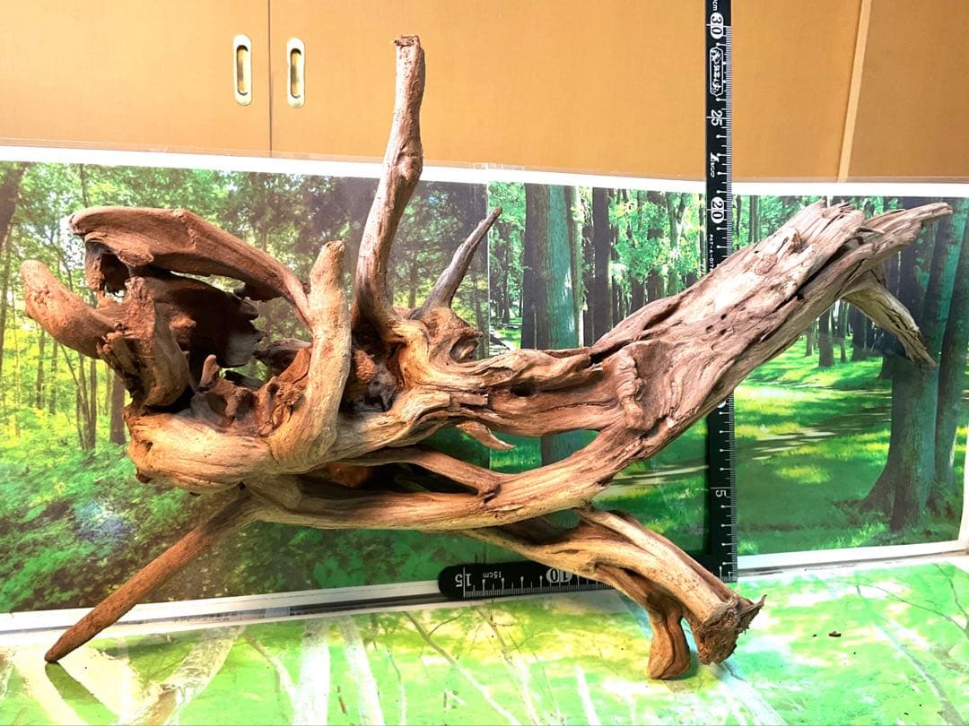 けすけ様　ご提案用　天然水槽用流木　沈水確認済み