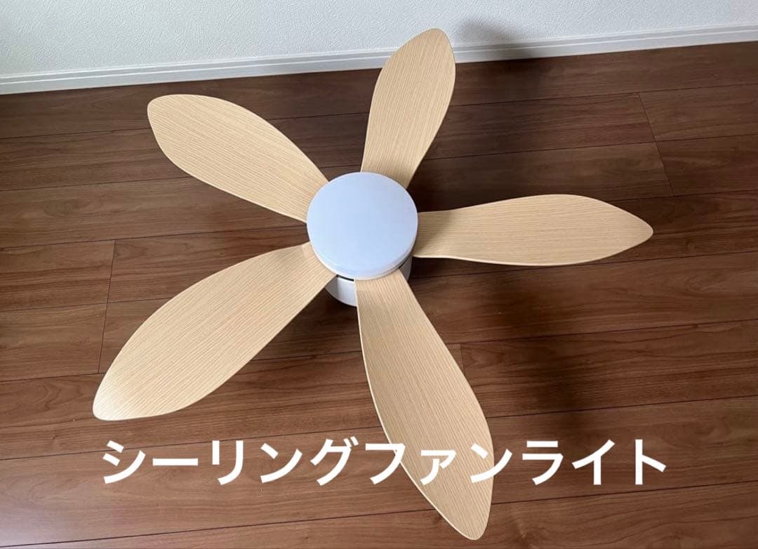 シーリングファンライト Folia