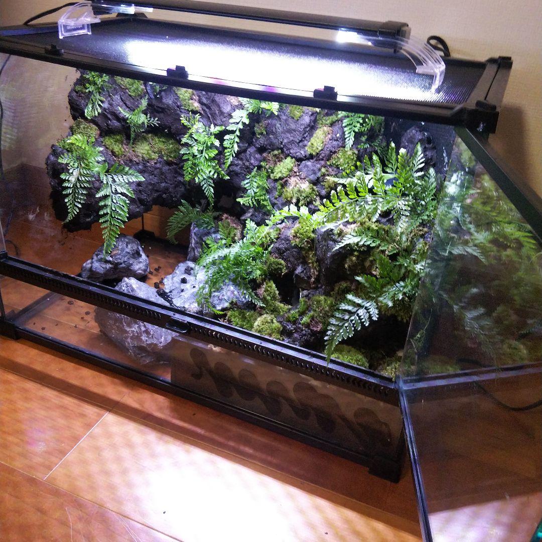 アクアテラリウム