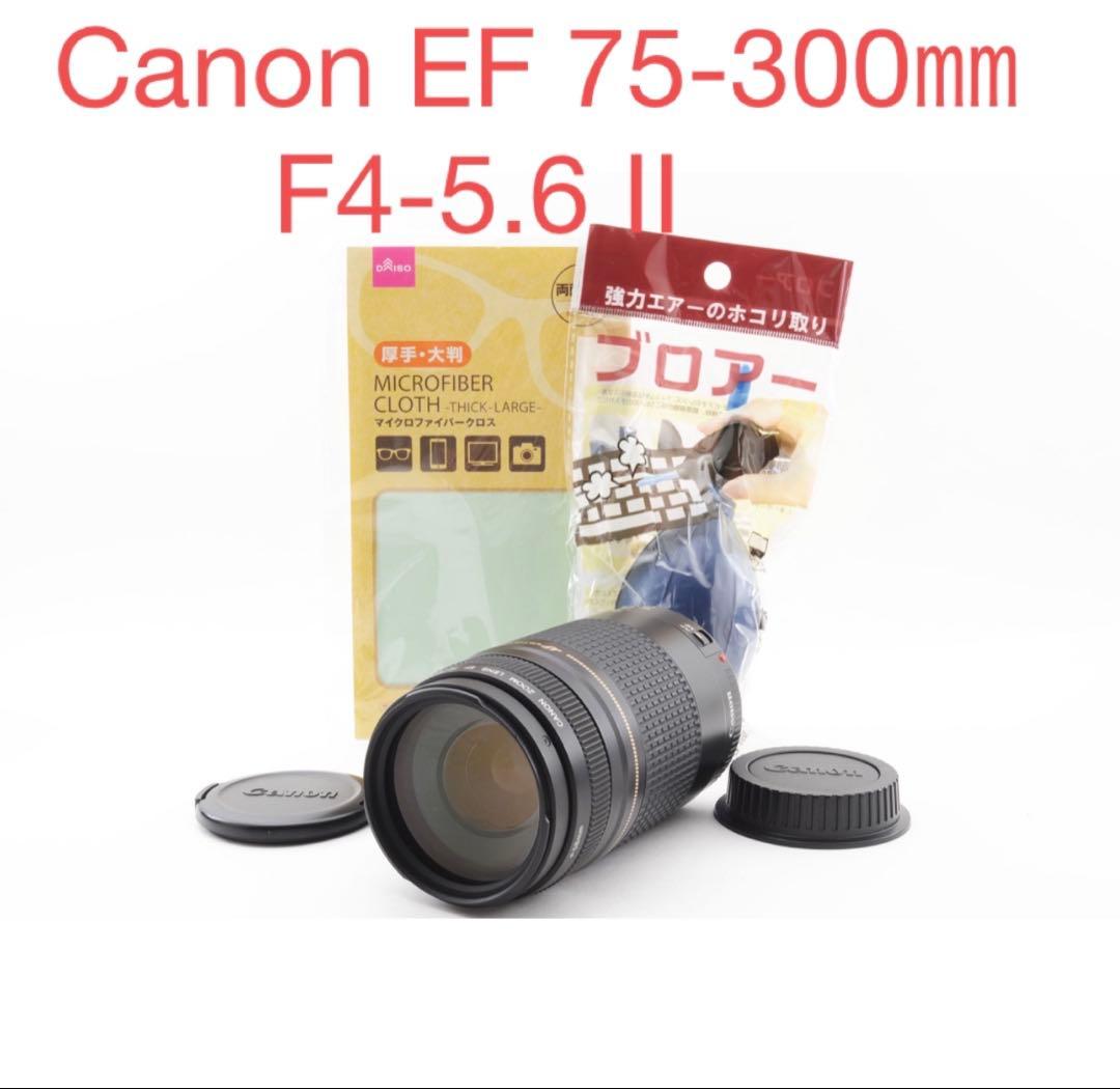 デジタル一眼レフカメラCANON EF 75-300㎜F4-5.6 Ⅱ USM