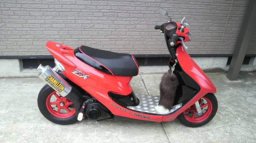 ライブ ディオ ZX dio Lowダウン Fサスペンション 3㎝down