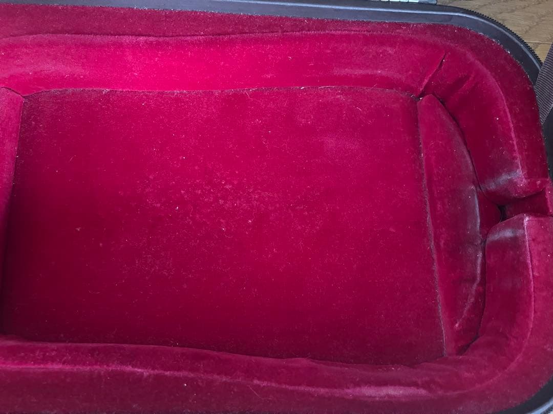 希少　ムサフィア Studio Series 湿度計付き バイオリンケース