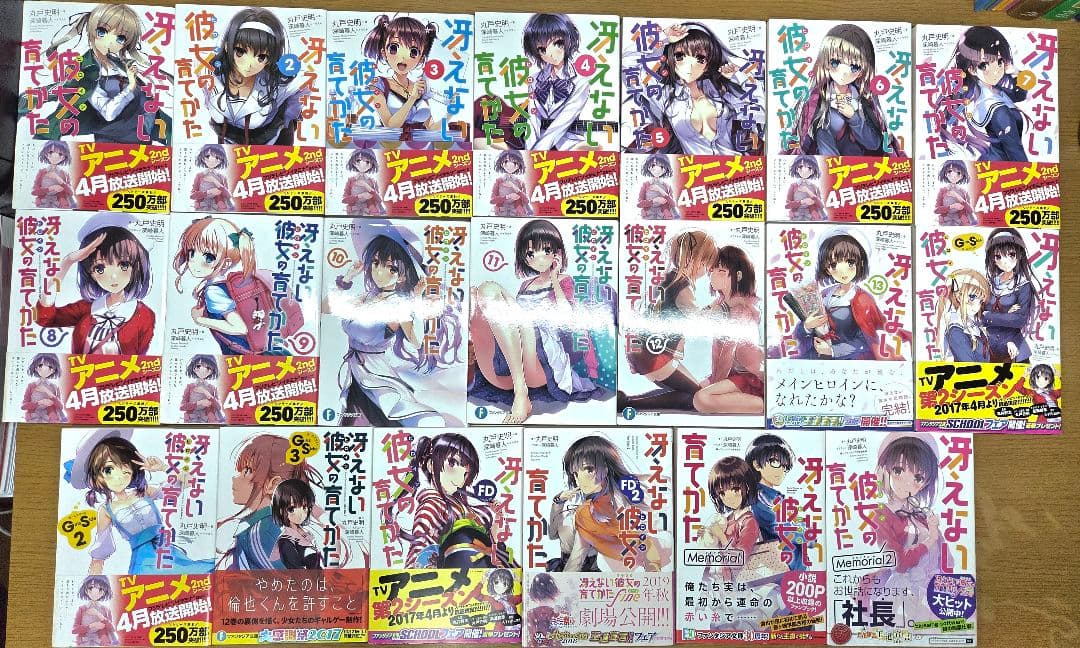 冴えない彼女の育てかた　原作、特典小説全巻　劇場版Blu-ray　パンフレット