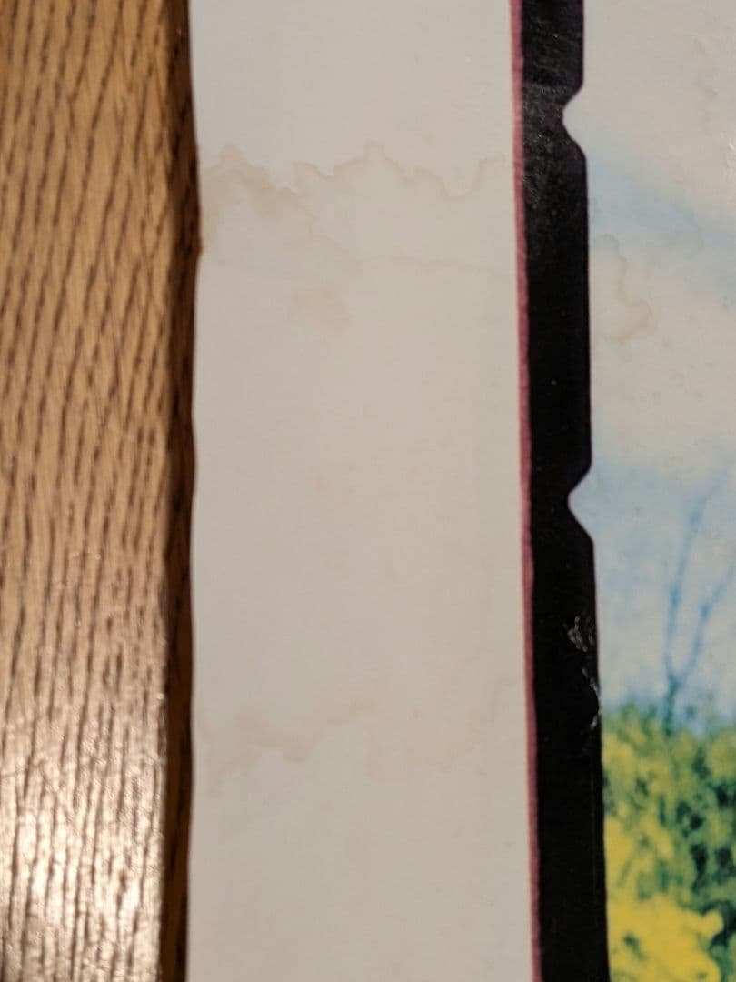 【B1特大ポスター】大黒摩季「いちばん近くにいてね」非売品