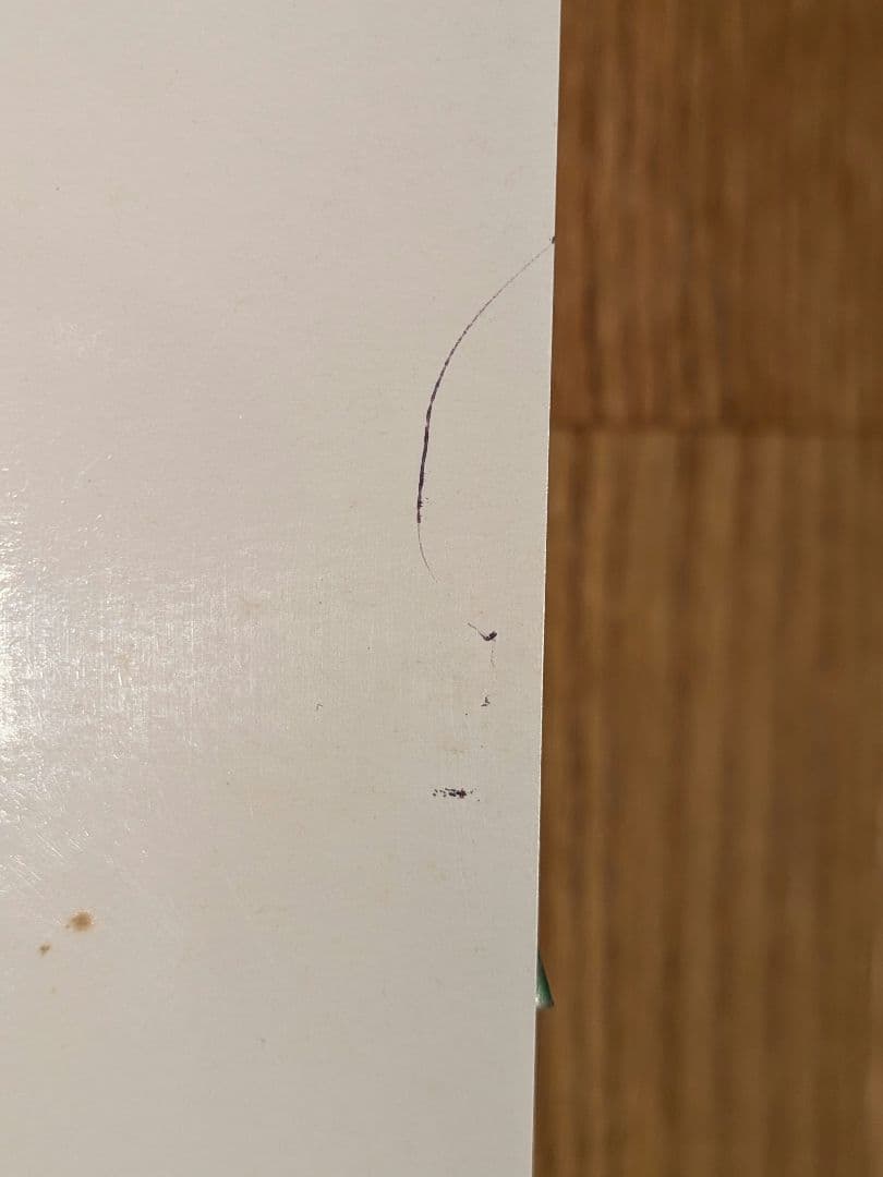 【B1特大ポスター】大黒摩季「いちばん近くにいてね」非売品