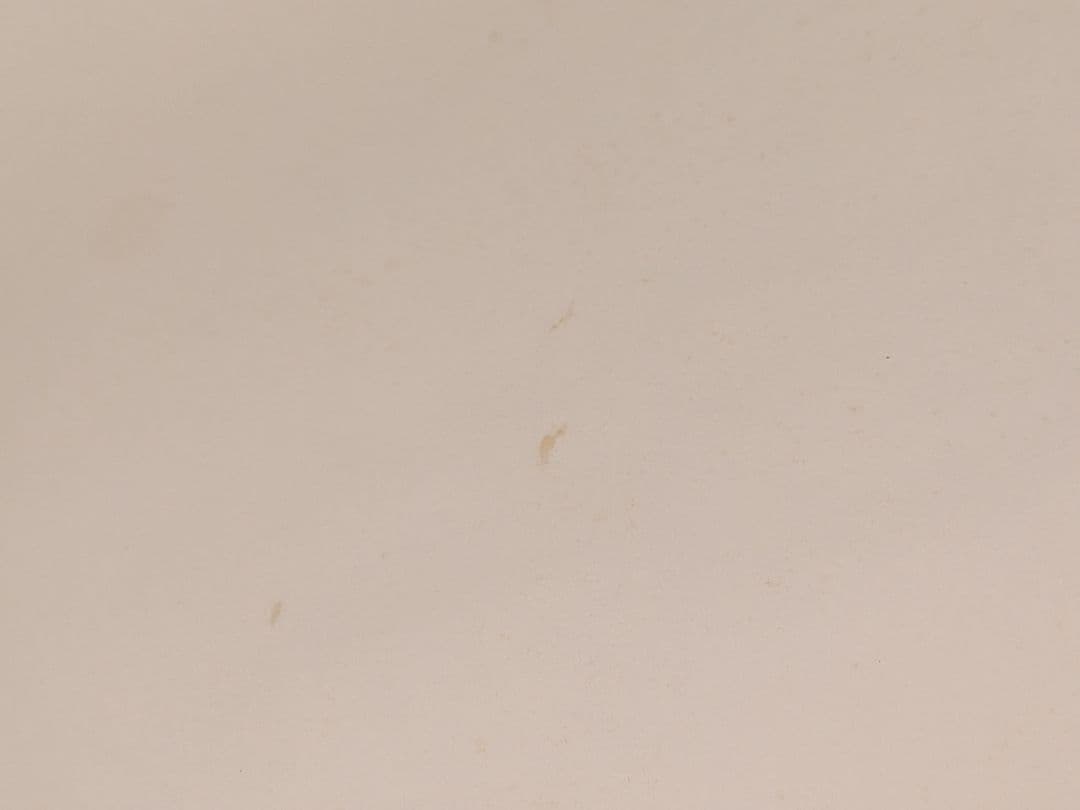 【B1特大ポスター】大黒摩季「いちばん近くにいてね」非売品