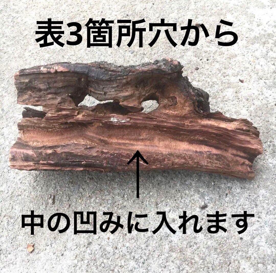 しょーきちページ