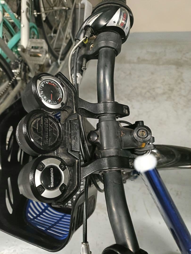 BRIDGESTONE キッズバイク 青