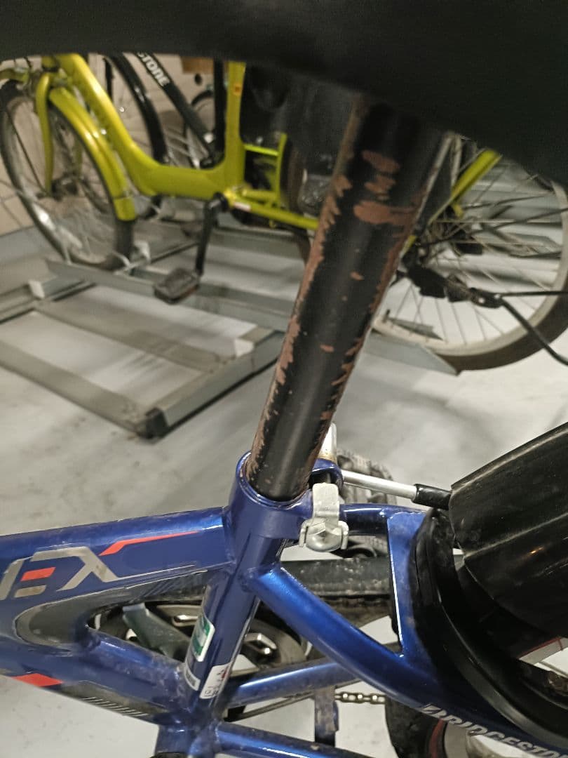 BRIDGESTONE キッズバイク 青