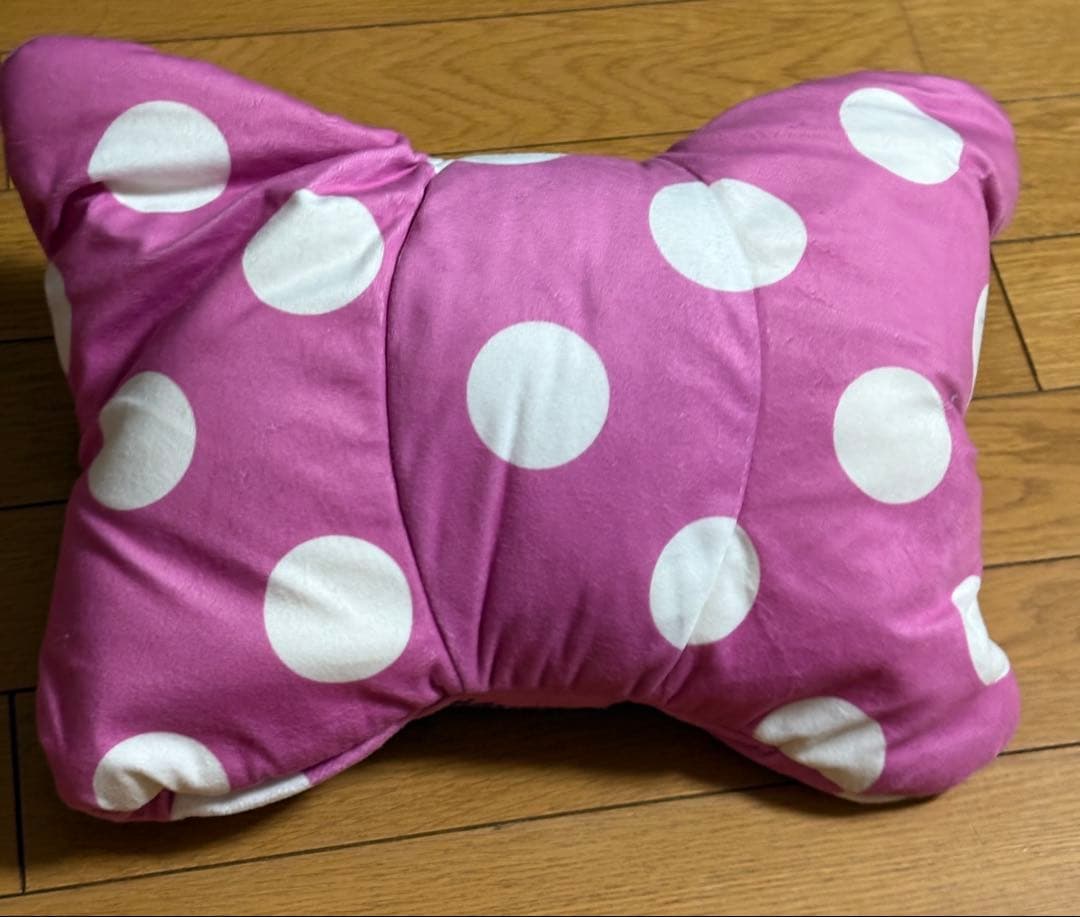 ミニーのパルパルーザ　ブランケット　2024