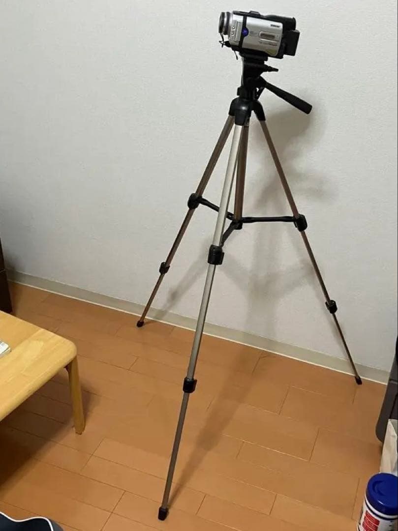 SONY DCR-TRV30 デジタルビデオカメラ