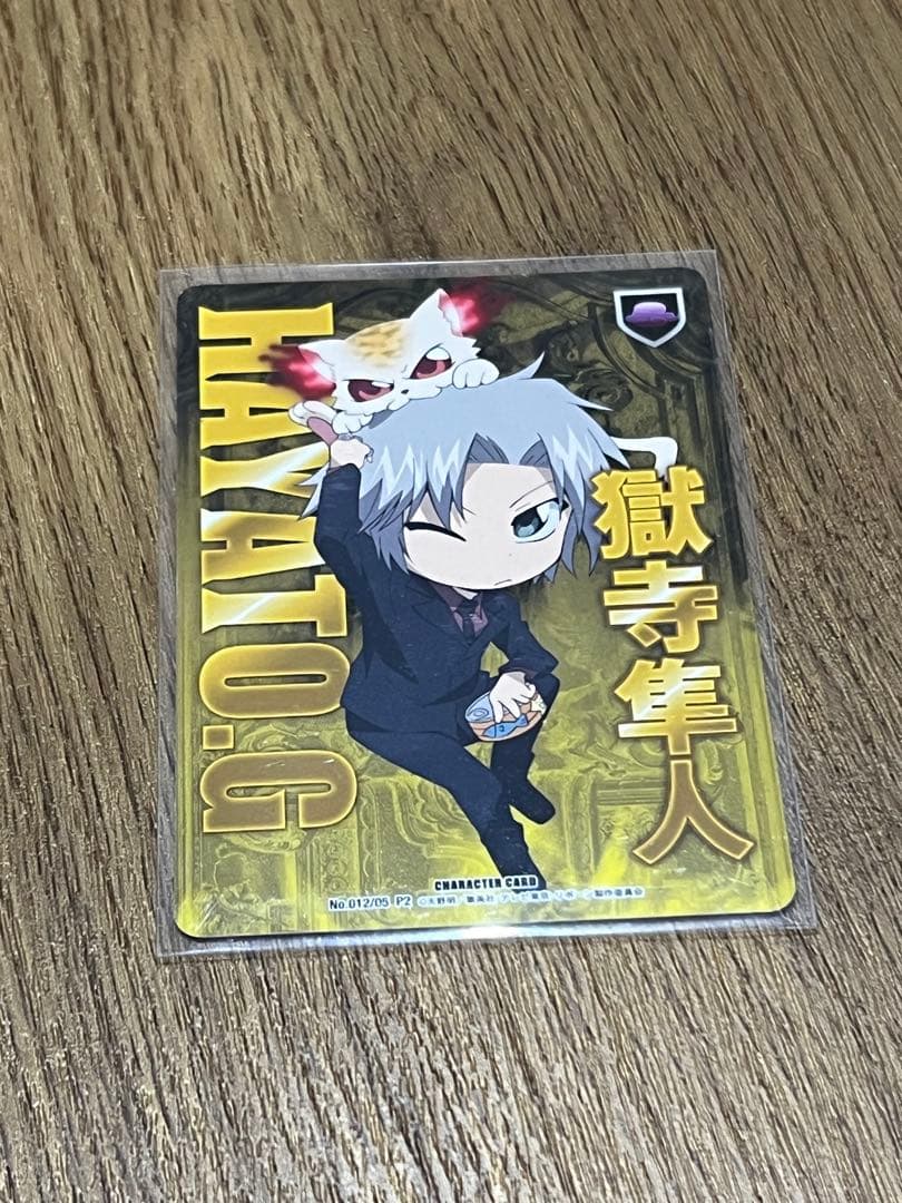 家庭教師ヒットマンREBORN! CCG 獄寺隼人２１枚セットSKR含む