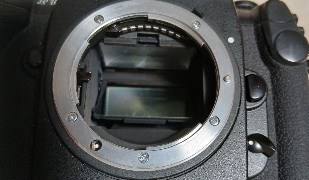 Nikon F6 一眼レフカメラ ストラップ付き