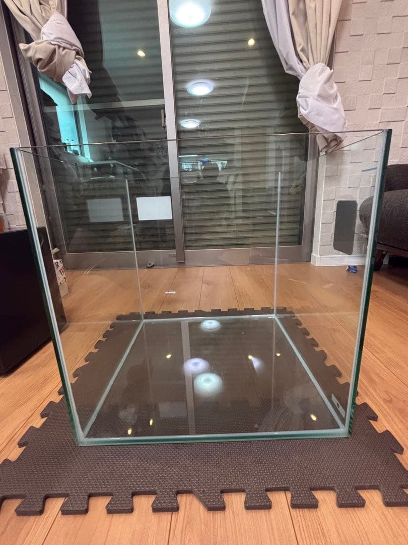 水槽 psychedelic aqua