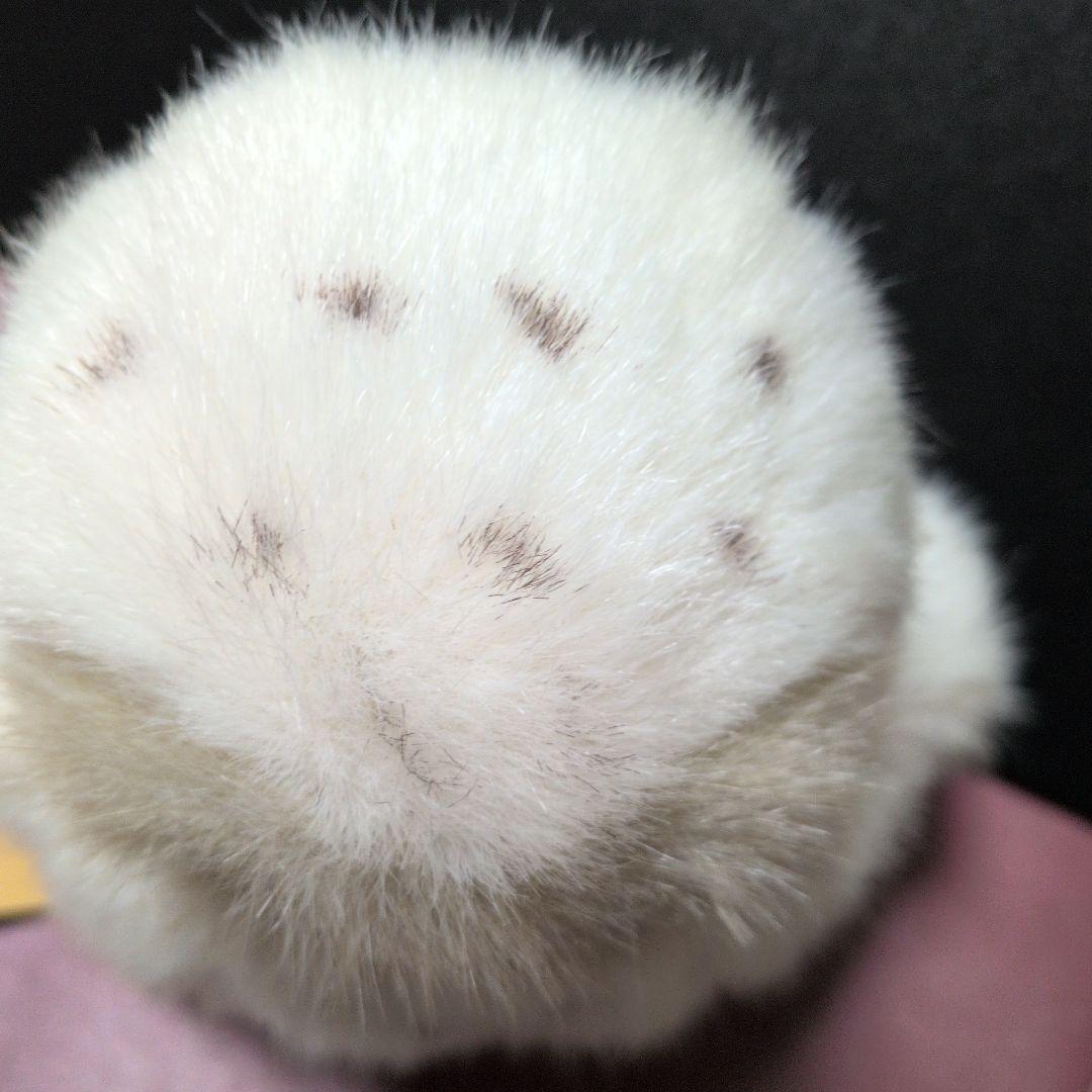 やまね工房　ぬいぐるみ 3種セット　ふくろうの子 えぞももんが　やまね