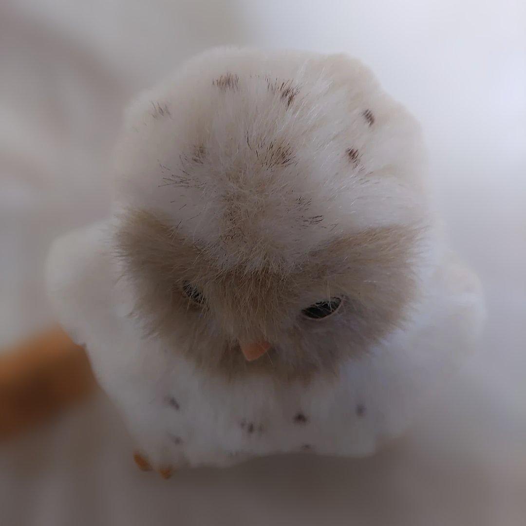 やまね工房　ぬいぐるみ 3種セット　ふくろうの子 えぞももんが　やまね