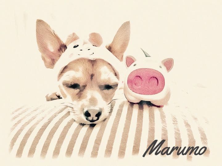 うちの子イラスト（データ納品）