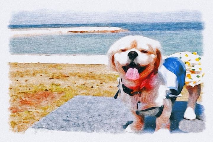 うちの子イラスト（データ納品）