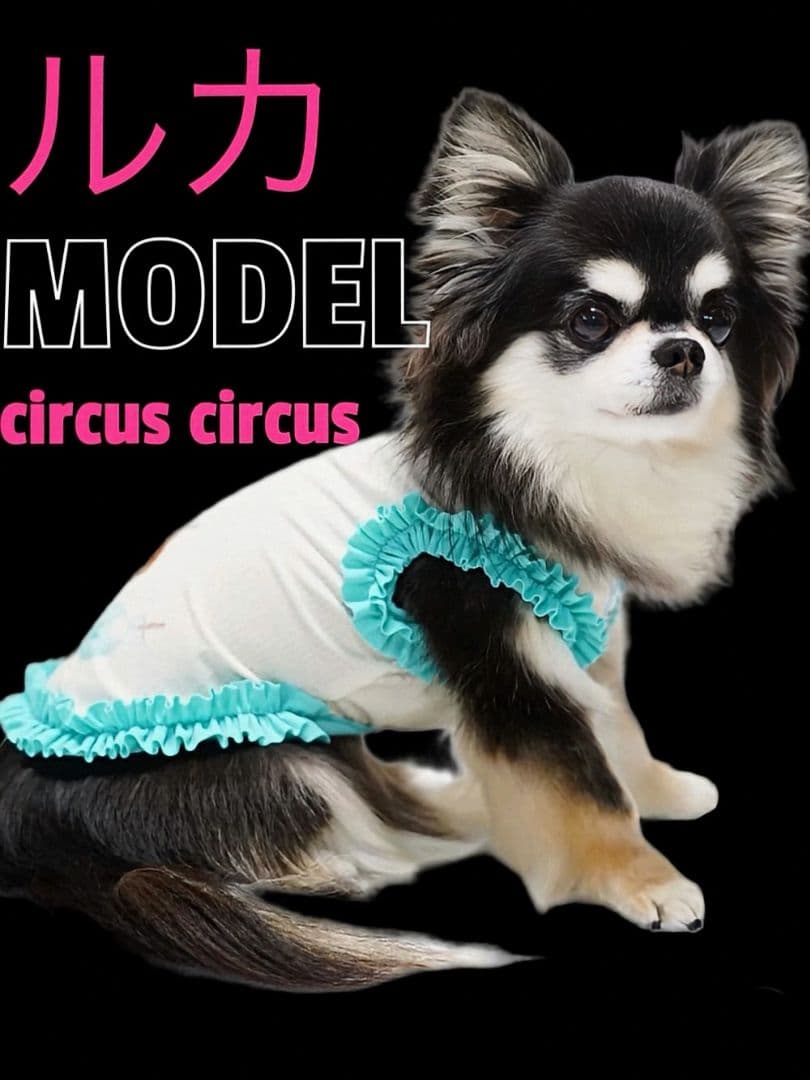 E Laundry BearフリルタンクXS＆マット セットcircusサーカス