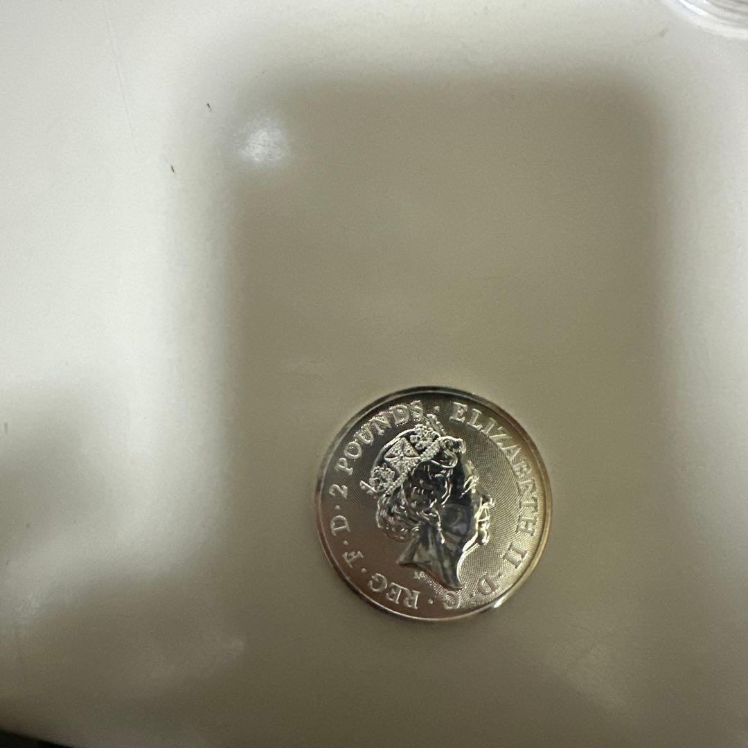 ブリタニア銀27g